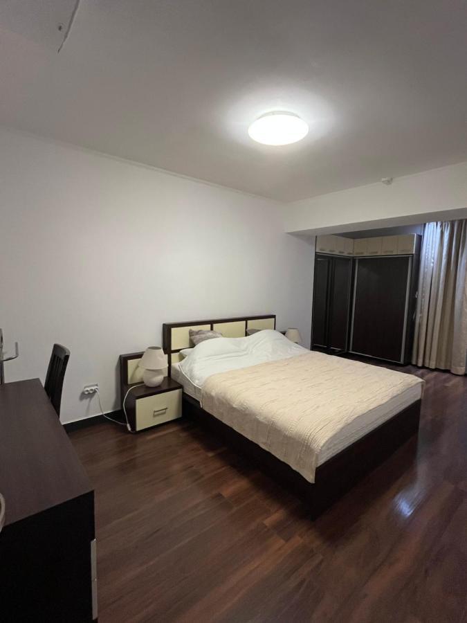 Large 2 Bedroom Apartment Soseaua Nordului 布加勒斯特 外观 照片