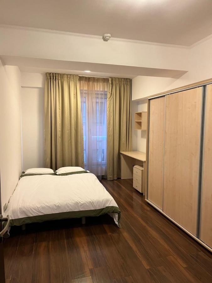 Large 2 Bedroom Apartment Soseaua Nordului 布加勒斯特 外观 照片